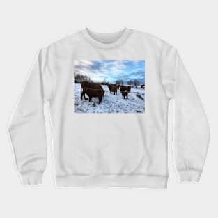 Scottish Highland Cattle Cows and Calves 1605 Crewneck Sweatshirt